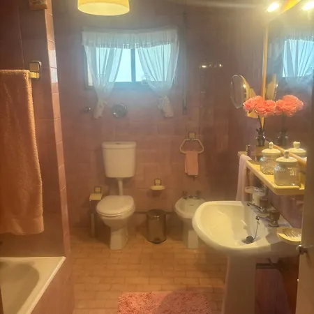 Casa De * Arvore