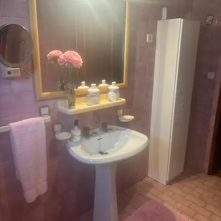 Apartamento Casa De Arvore